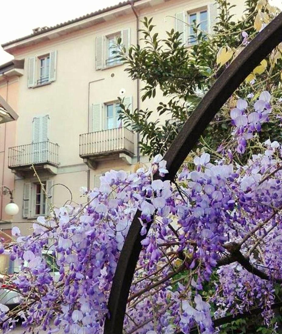 Casa Vacanze Stella Verbania Dış mekan fotoğraf